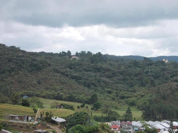 Hotel Chua Gin Cameron Highlands Exteriör bild
